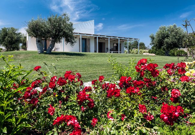 Villa a Scicli - Villa con terrazza e giardino privato. Piscina in comune. Scicli, Sicilia - Ulivi
