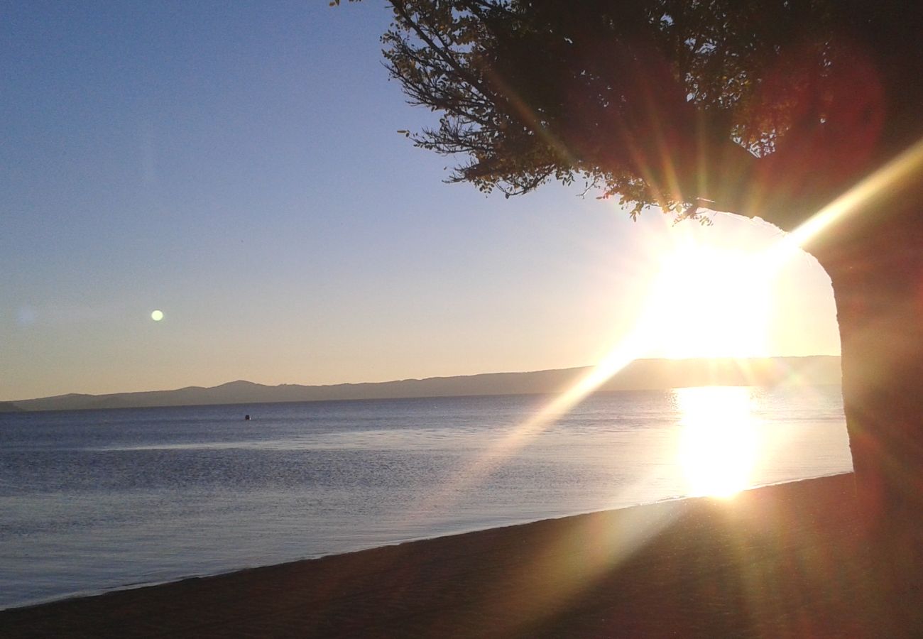 lago di Bolsena