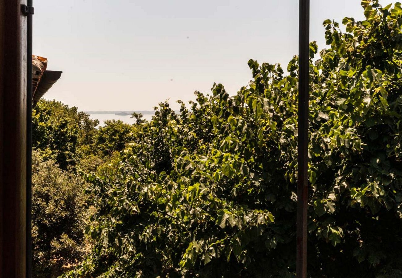 Appartamento a Bolsena - Casa Vecchia - con Piscina salata