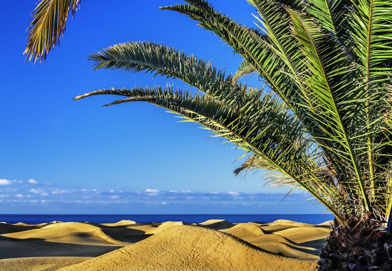 Casa a San Bartolomé de Tirajana - Las Adelfas South Beach 2 by CanariasGetaway