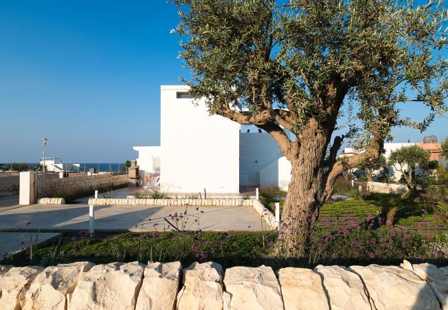Villa a Noto - Villa con piscina fronte mare a Marzamemi, Sicily - Palma - 8 pax Villa a Noto - Villa con piscina fronte mare a Marzamemi, Sicily - Palma - 8 pax