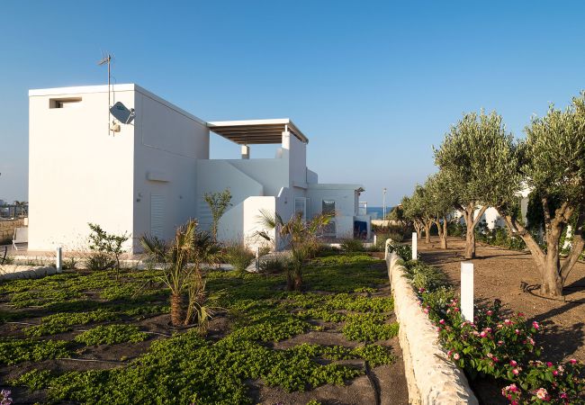 Villa a Noto - Villa con piscina fronte mare a Marzamemi, Sicily - Palma - 8 pax Villa a Noto - Villa con piscina fronte mare a Marzamemi, Sicily - Palma - 8 pax