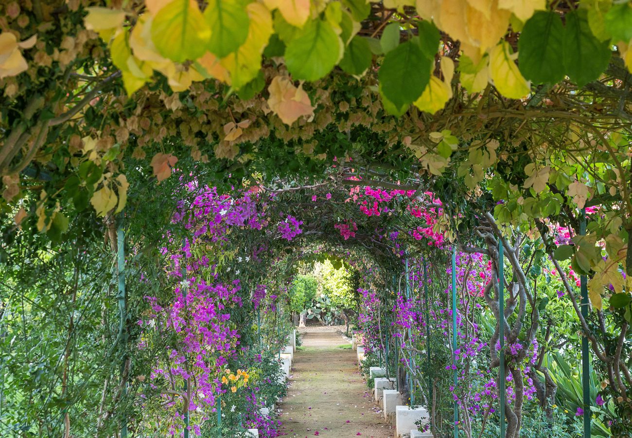 Villa a Marsala - Villa esclusiva con piscina, cucina esterna, a Marsala, Sicilia - 9 pax