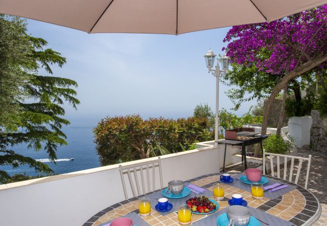 Villa a Praiano - Villa Albatros - Villa panoramica ideale per grandi gruppi Villa a Praiano - Villa Albatros - Villa panoramica ideale per grandi gruppi