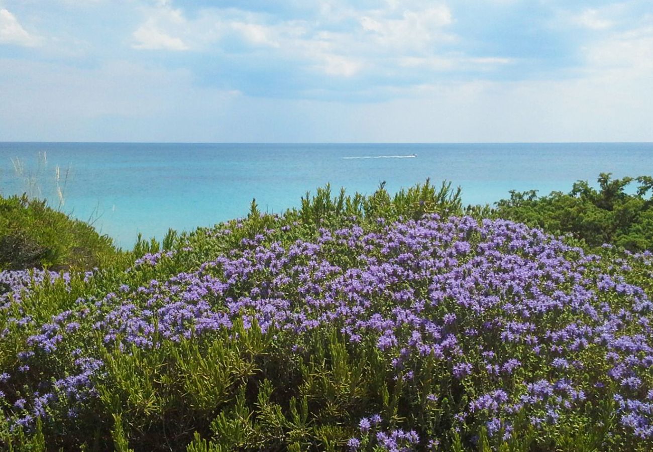 Villa a Torricella - Villa al mare con piscina privata situata a Torre Ovo, Puglia