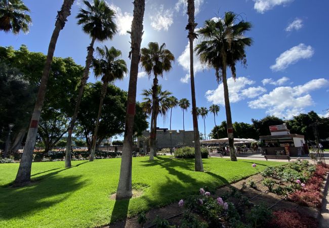 Studio a Las Palmas de Gran Canaria - Fancy & Stylish studio by Canarias Getaway Studio a Las Palmas de Gran Canaria - Fancy & Stylish studio by Canarias Getaway