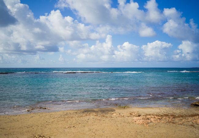 Studio a Las Palmas de Gran Canaria - OK Las Canteras 5C by CanariasGetaway Studio a Las Palmas de Gran Canaria - OK Las Canteras 5C by CanariasGetaway