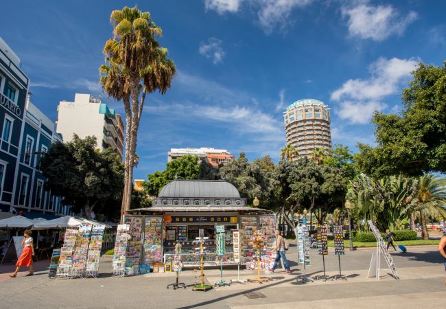 Studio a Las Palmas de Gran Canaria - OK Las Canteras 5C by CanariasGetaway Studio a Las Palmas de Gran Canaria - OK Las Canteras 5C by CanariasGetaway