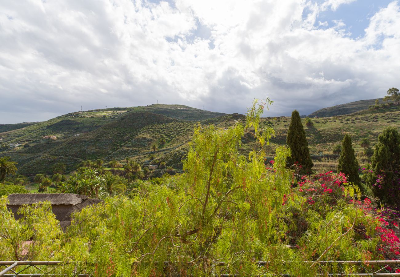 Fattoria a Telde - Casa África Loft - Finca Cruz Mayor