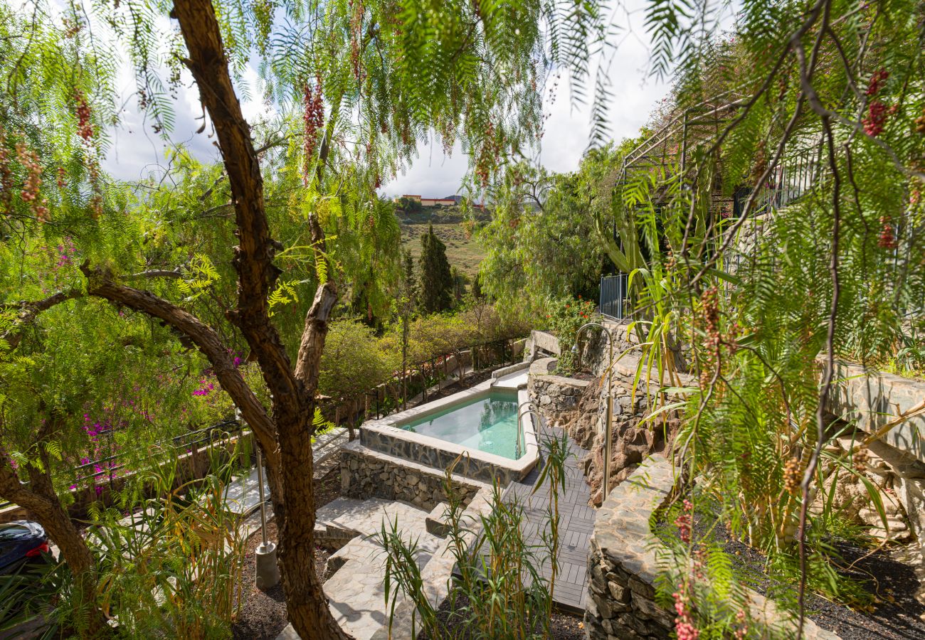 Fattoria a Telde - Casa Chica