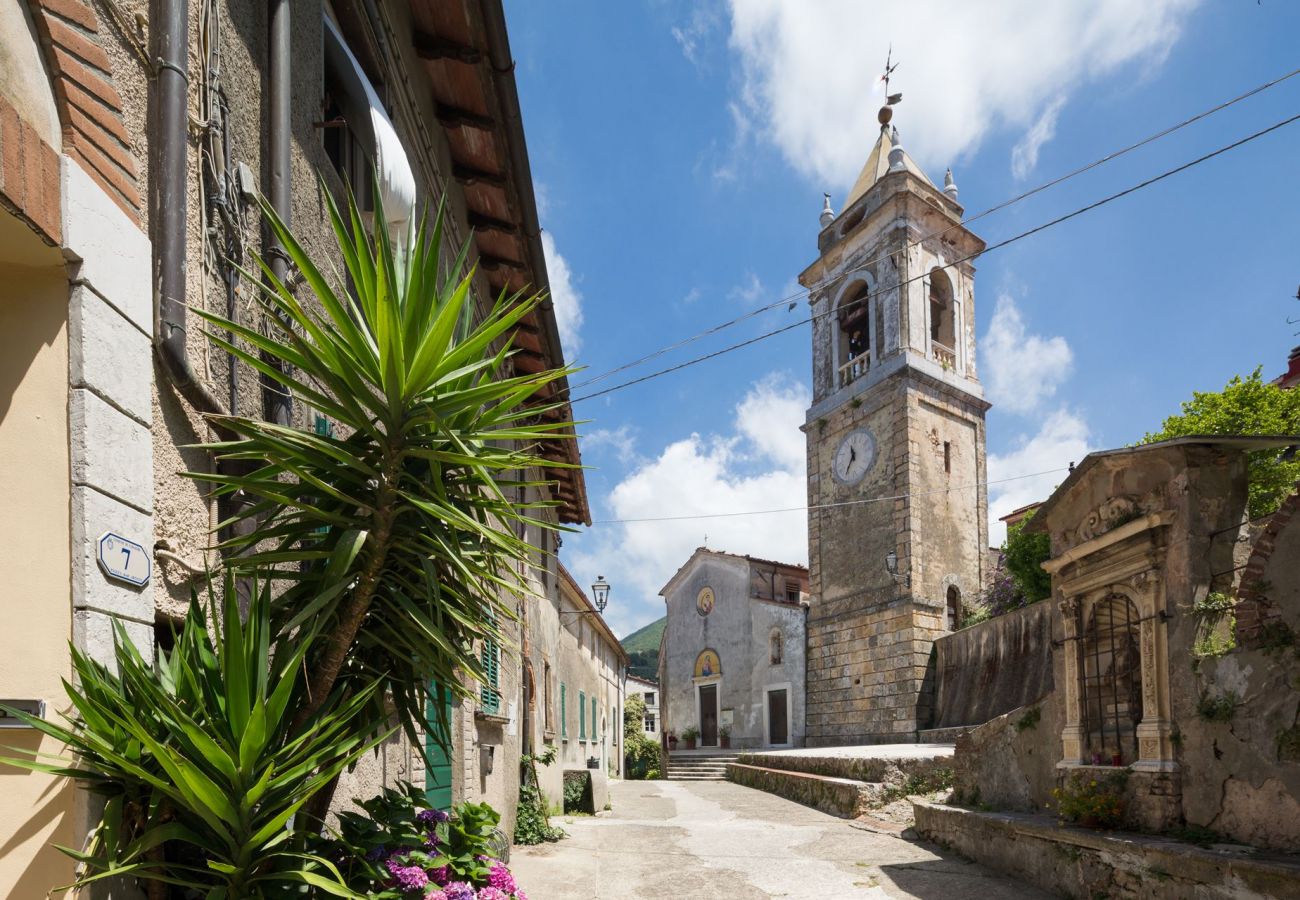 Villa a Camaiore - Villa con piscina riscaldata, panoramica, Camaiore
