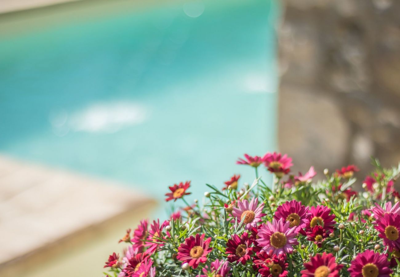 Appartamento a Bolsena - Il Casale del Sughereto - appartamento in villa da sogno con piscina