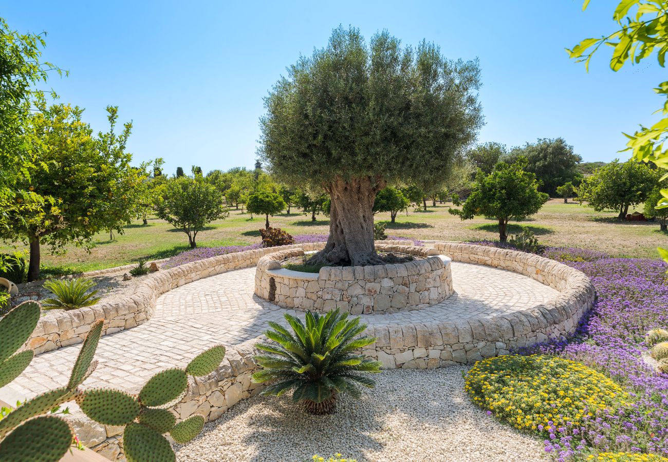 Villa a Noto - Splendida villa con piscina , Noto - DiCasaInSIcilia