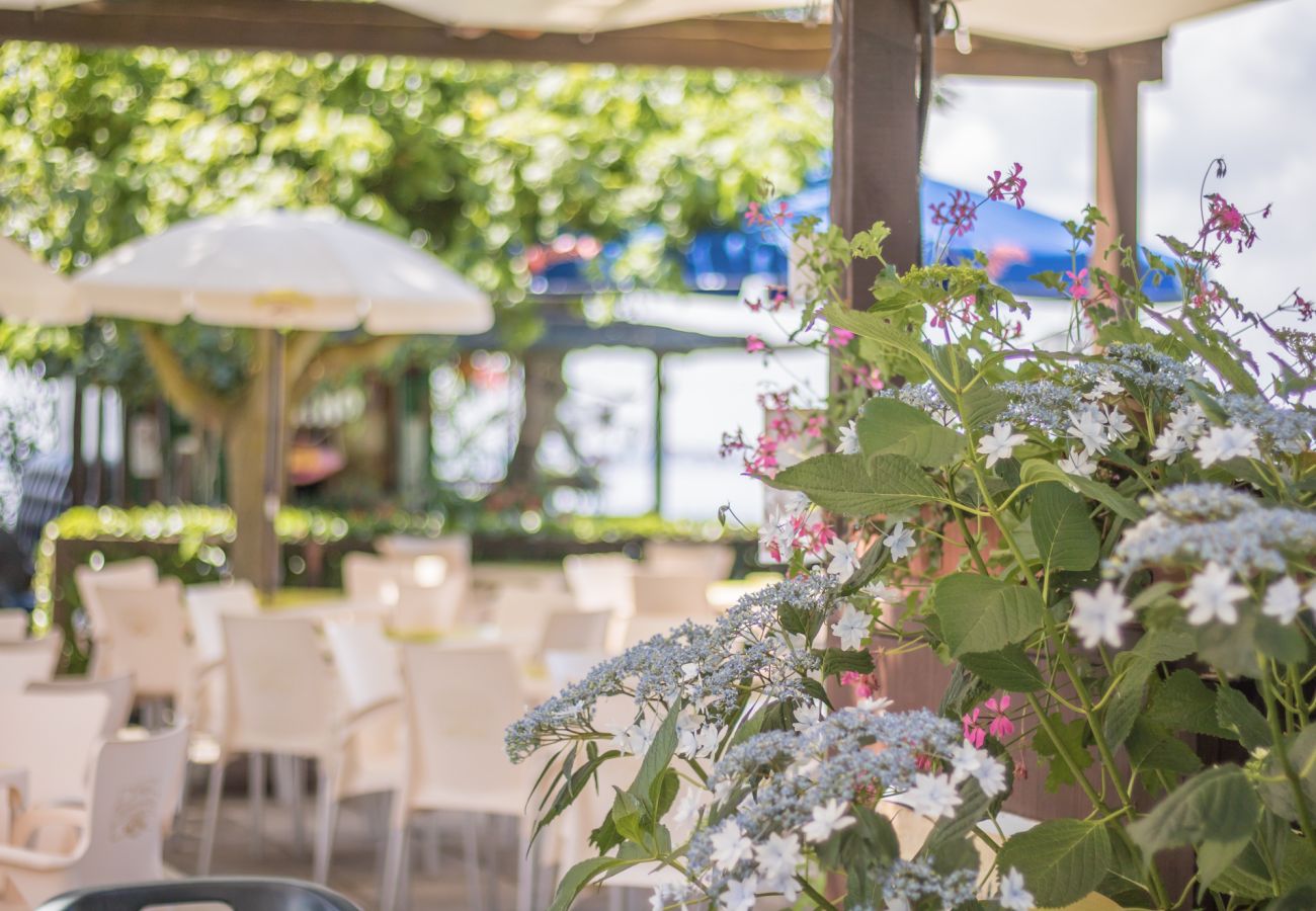 Appartamento a Bolsena - Riva Verde - Tramontana direttamente sul lago 