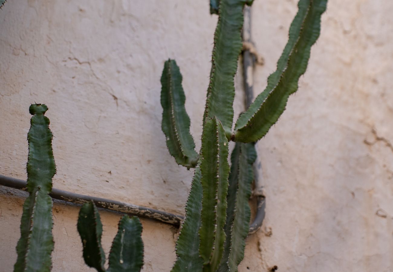 Appartamento a Sperlonga - Casa IDIA – Nei vicoli del centro storico, luminosa, comoda e autentica
